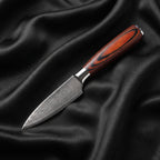 Yuhi Paring Knife · full blade on black silk
