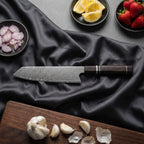 Ginrei Kiritsuke Chef Knife