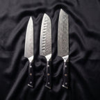 Oroshi Damascus Knife Set