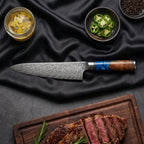 Shion Gyuto Chef Knife